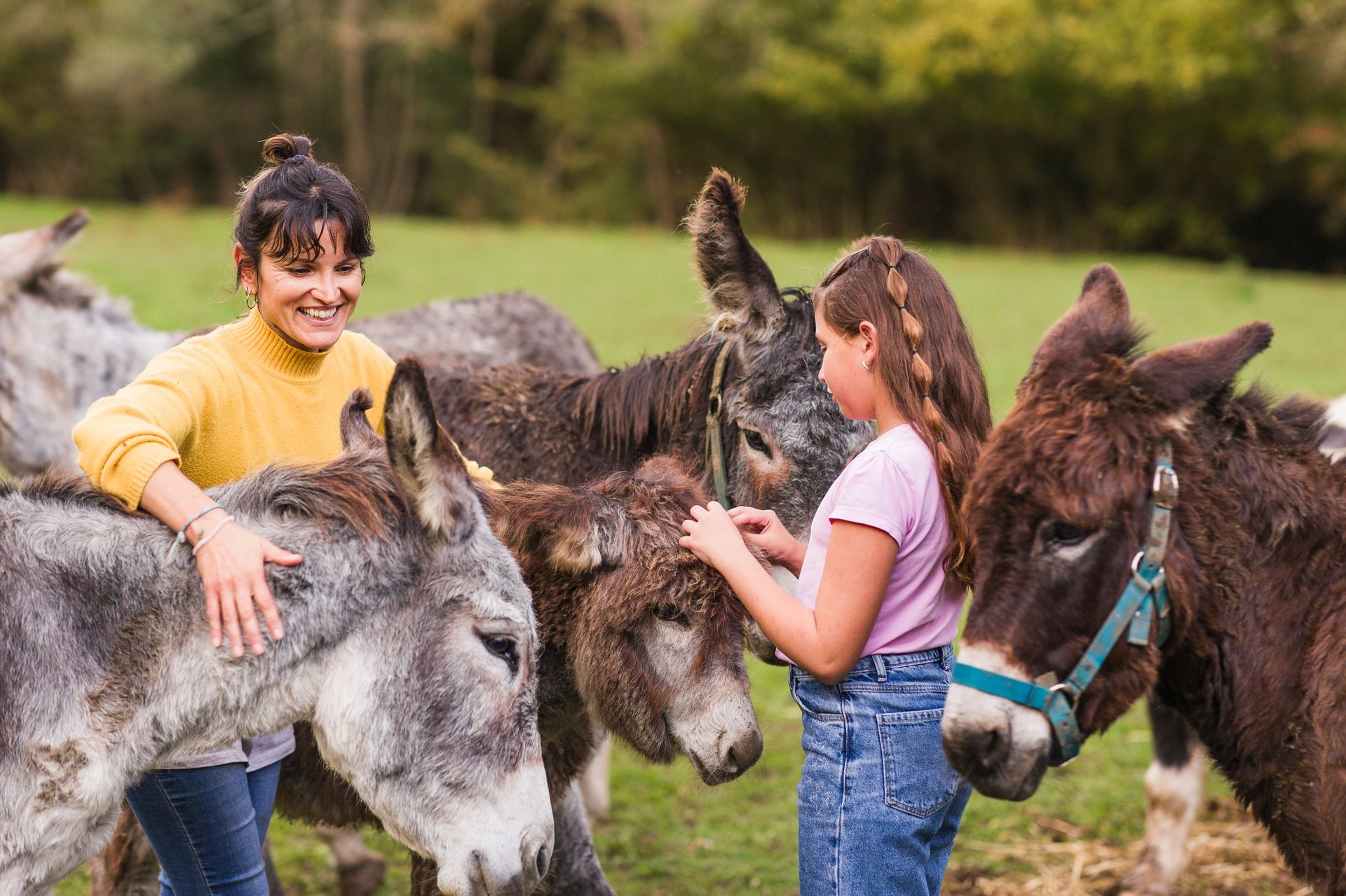 Woman and girl petting donkeys