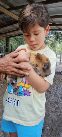 Young boy holding a brown bat in his arms at an outdoor farm or wildlife facility