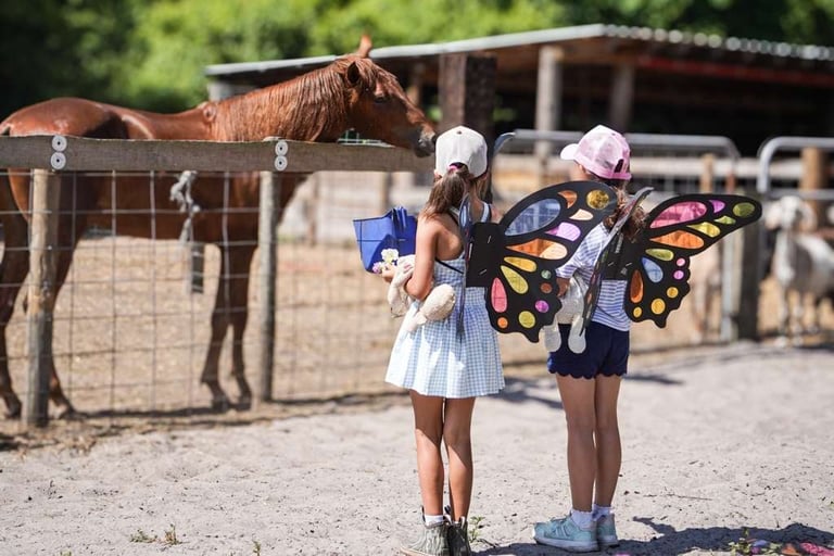 Two children wearing butterfly wings stand in front of a horse at a farm fence