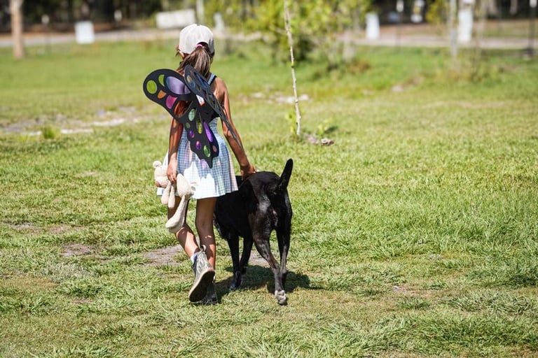 Child in white dress holding a toy airplane while walking with a black dog on a grassy field