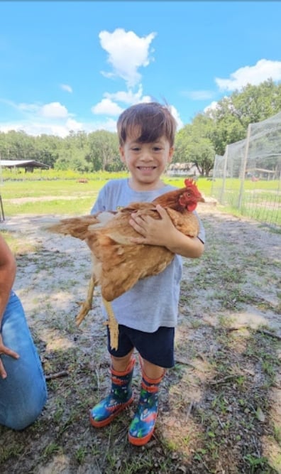 Young boy smiling while holding a brown chicken at a farm with green pastures and fencing in background