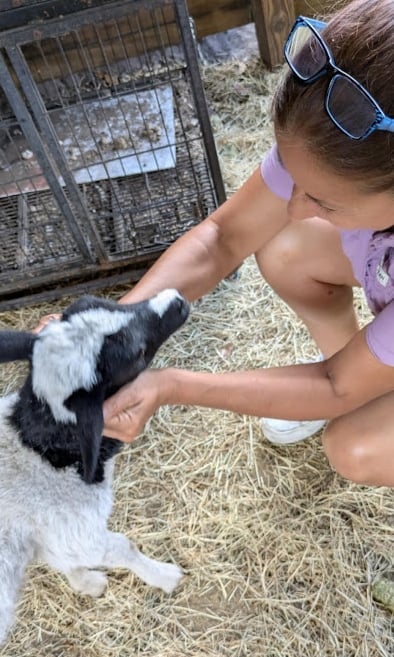 Child petting goat