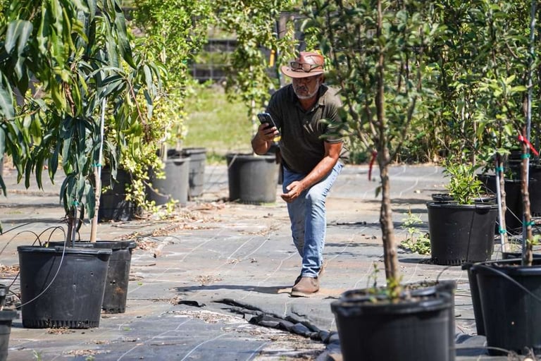 Worker watering young plants in a nursery among black growing containers and green foliage