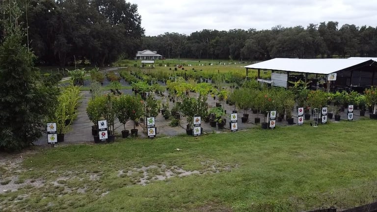 Outdoor plant nursery with rows of potted plants and white numbered markers on grassy field with farm buildings and trees