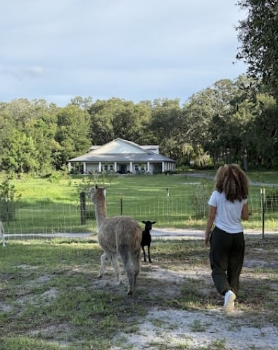 Person in white shirt walking near two goats in a fenced pasture with a white farmhouse in the background