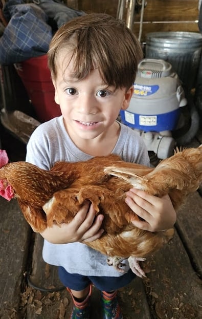 Child with chicken