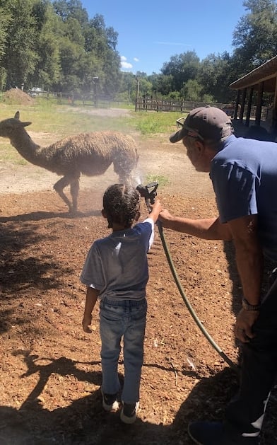 Child holding emu